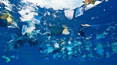 800多万吨塑料废物进入海洋，只因很多人不知道可降解塑料袋
