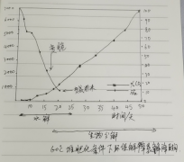 环保降解袋的分解原理-降解袋是怎么降解的？