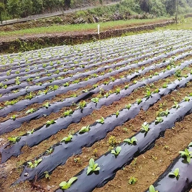 全生物降解地膜